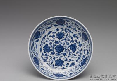 图片[3]-Dish with Indian lotus scrolls in underglaze blue, Qing dynasty, Qianlong reign (1736-1795)-China Archive